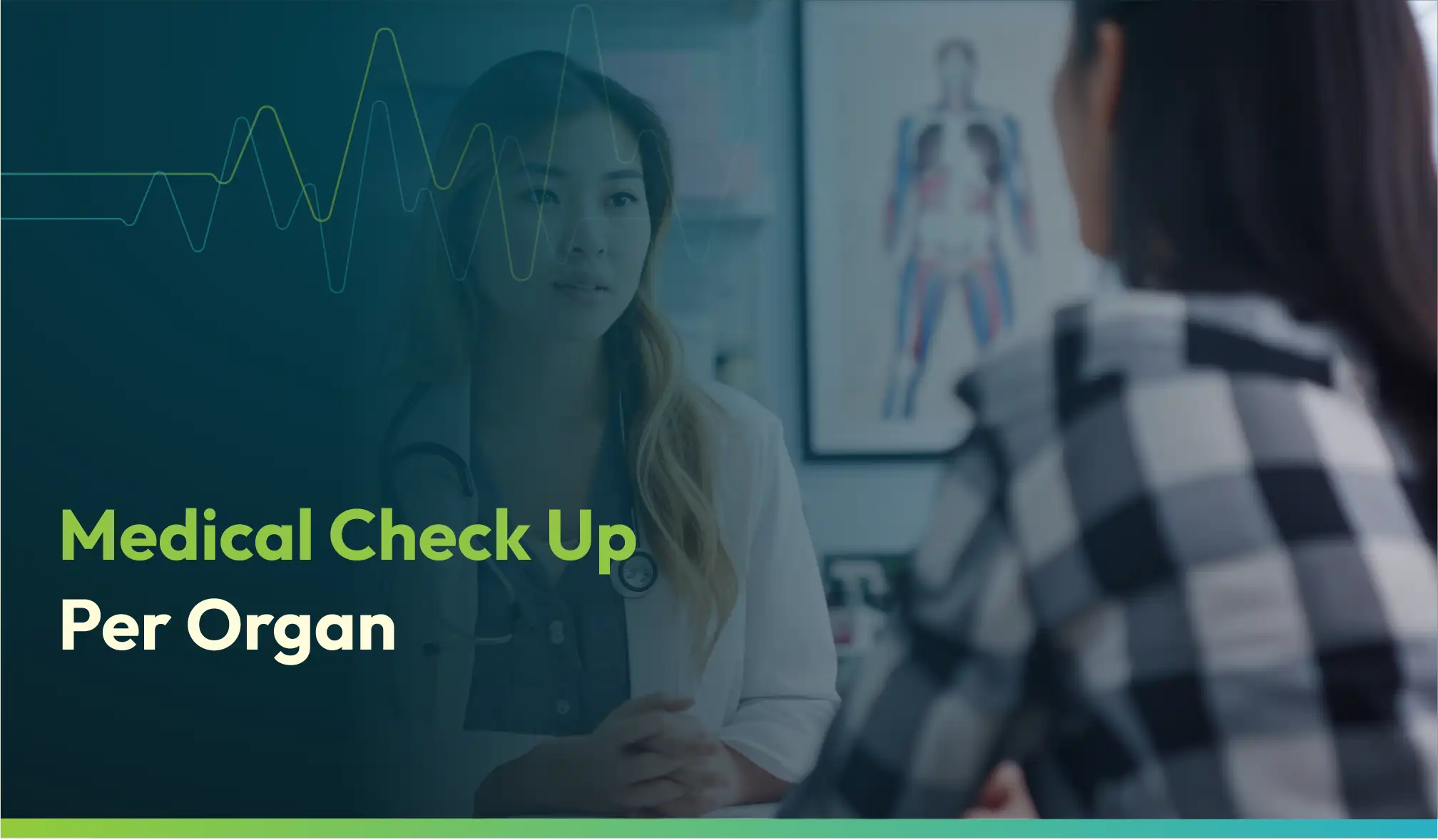 Gambar Konten Pelayanan Medical Check Up Per Organ